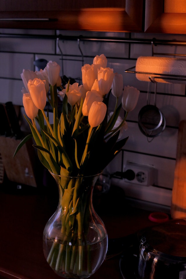 White Tulip